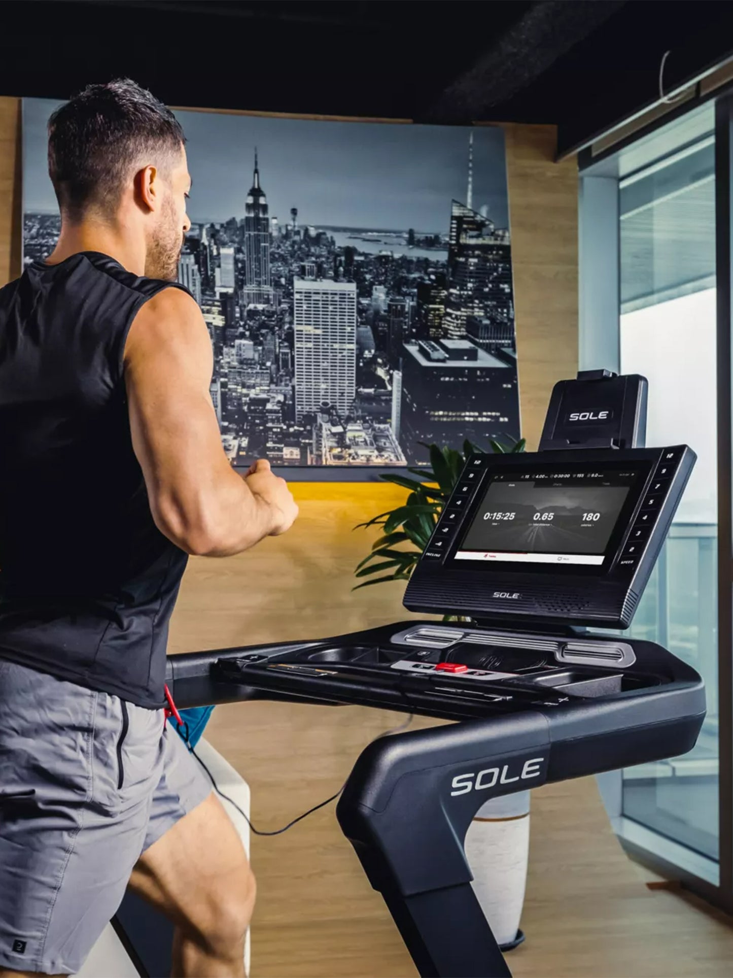 Sole Fitness 4 hp F85 Treadmill Home Use Treadmills | Sole Fitness